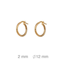 CRIOLLA PLATA B.ORO GALLONADA 2X12 MM